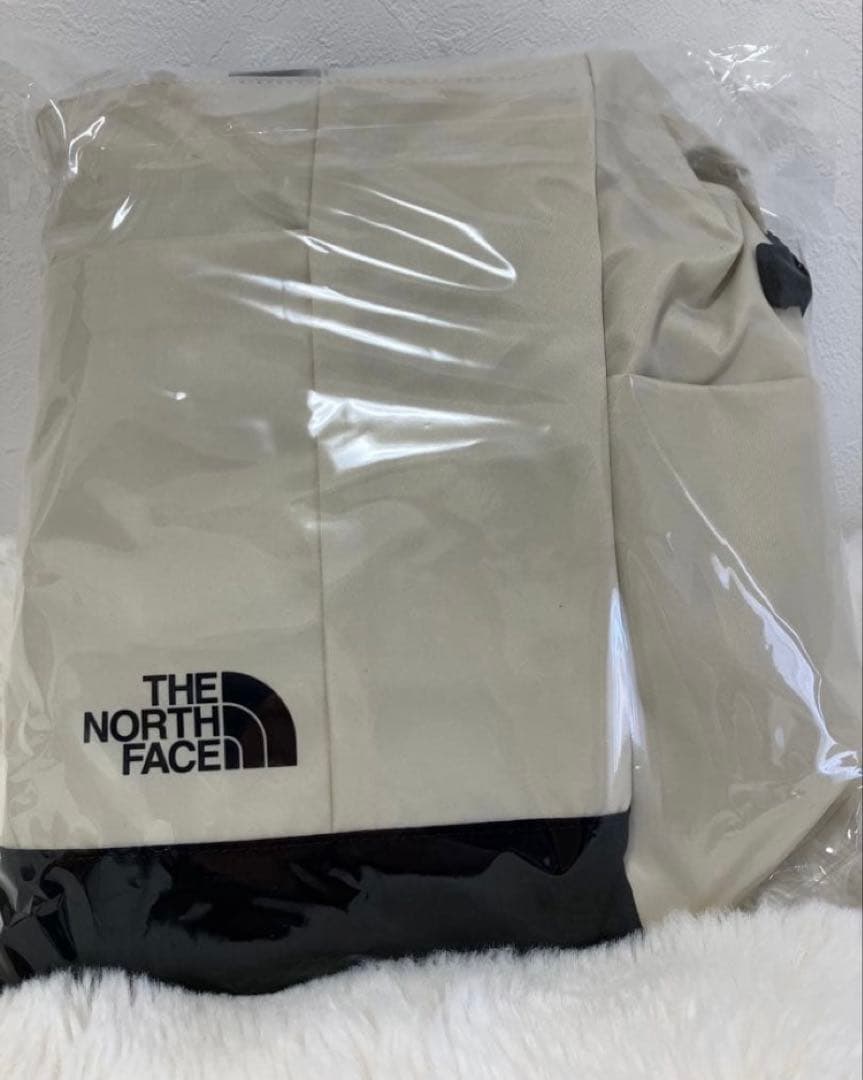 the North face 軽量ボストンバッグ トラベルバッグ ダッフルバッグ