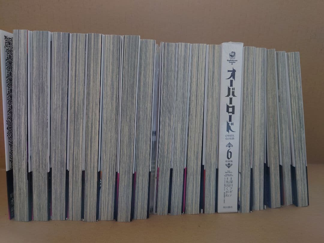 オーバーロード　1〜19巻　特装版、店舗特典付　丸山くがね　深山フギン