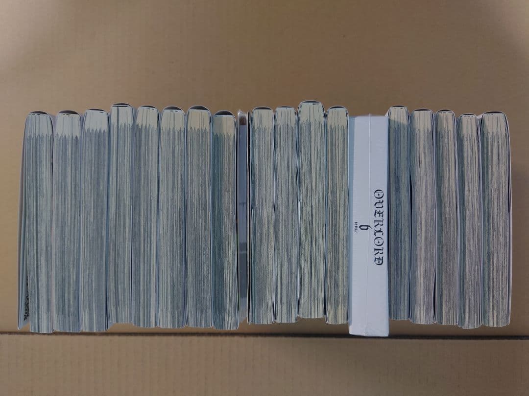 オーバーロード　1〜19巻　特装版、店舗特典付　丸山くがね　深山フギン