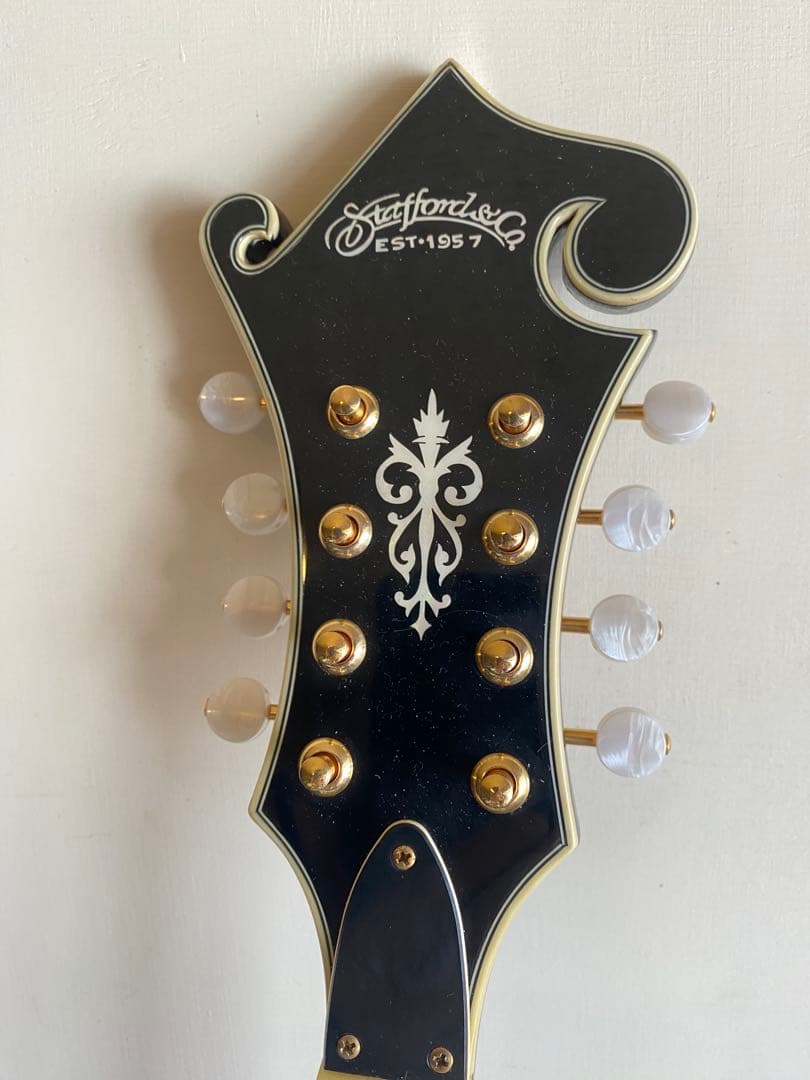 StaffordスタッフォードF-Style エレクトリック・フラットマンドリン