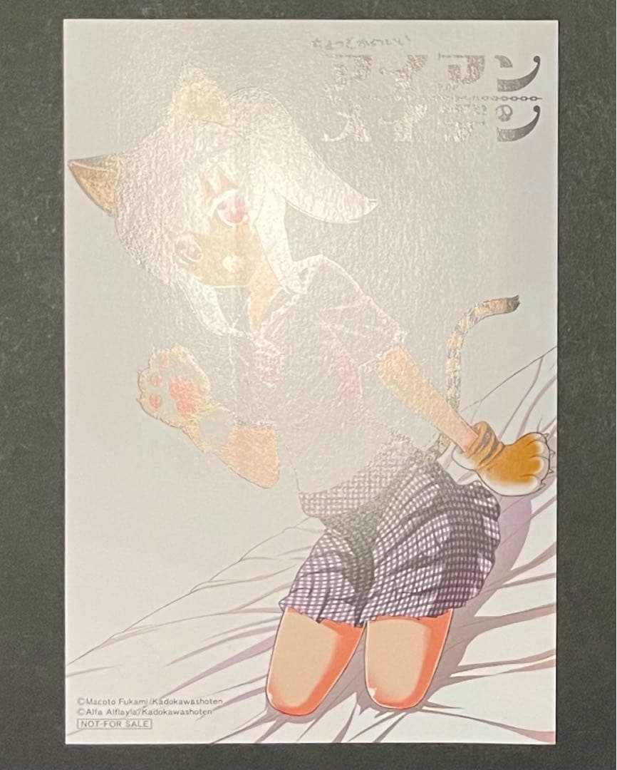 ちょっとかわいいアイアンメイデン 1巻・4巻・特典セット