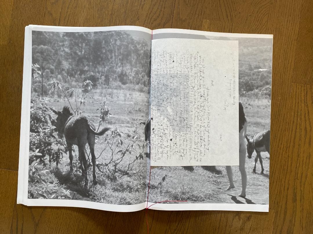 マーク・ボスウィック　100部限定　アートブック 貴重　オリジナルプリント付