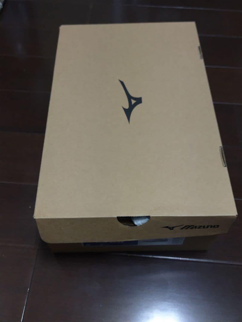 ミズノ ゴルフシューズ ネクスライト エナジー ボア 軽量 幅広27cm