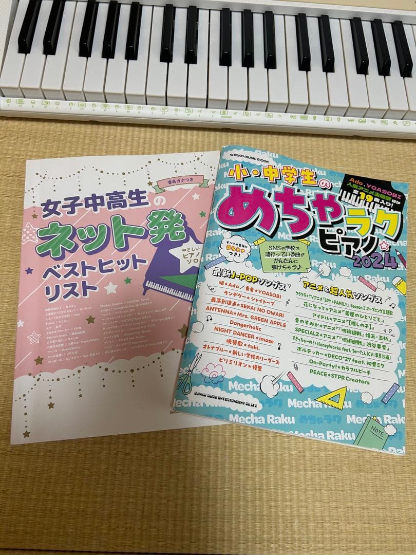 CASIO LK-325 光ナビゲーションキーボード