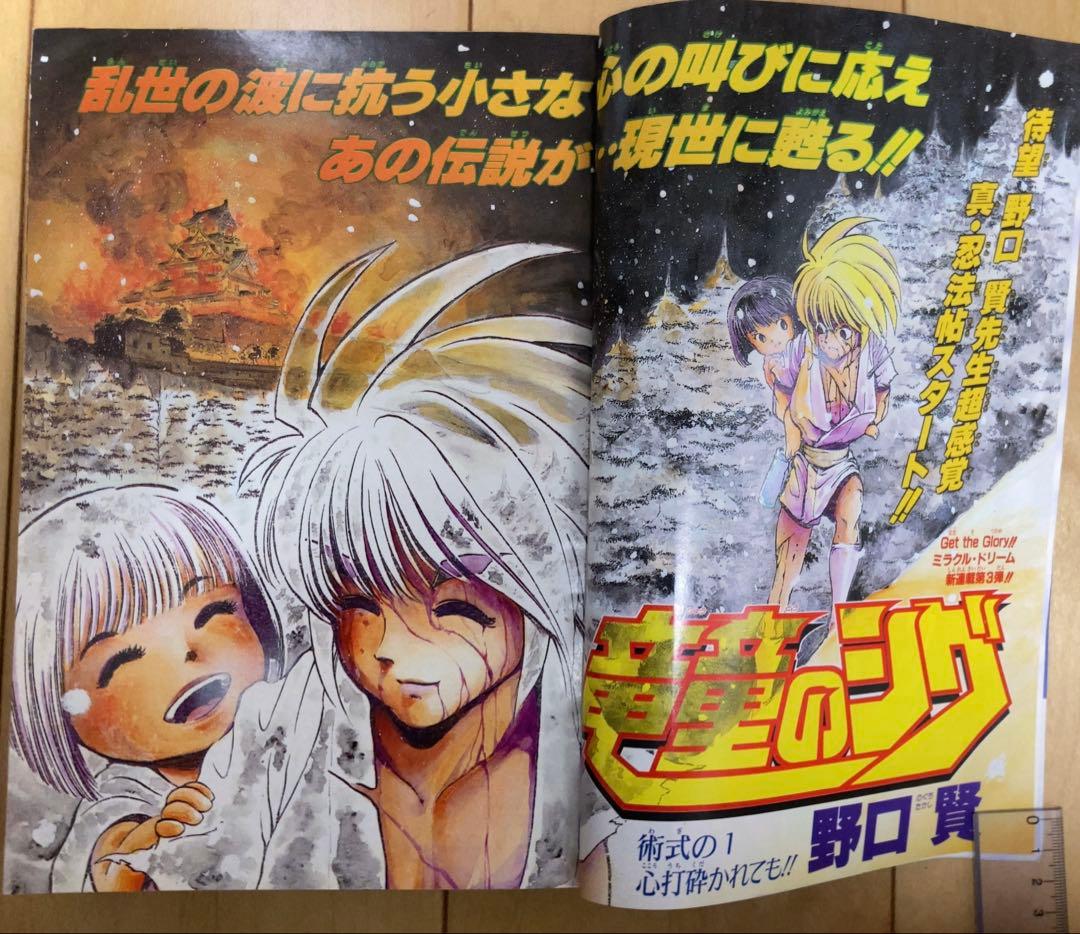 週刊少年ジャンプ　1995年24、25号 【最終回予告&最終回】ドラゴンボール