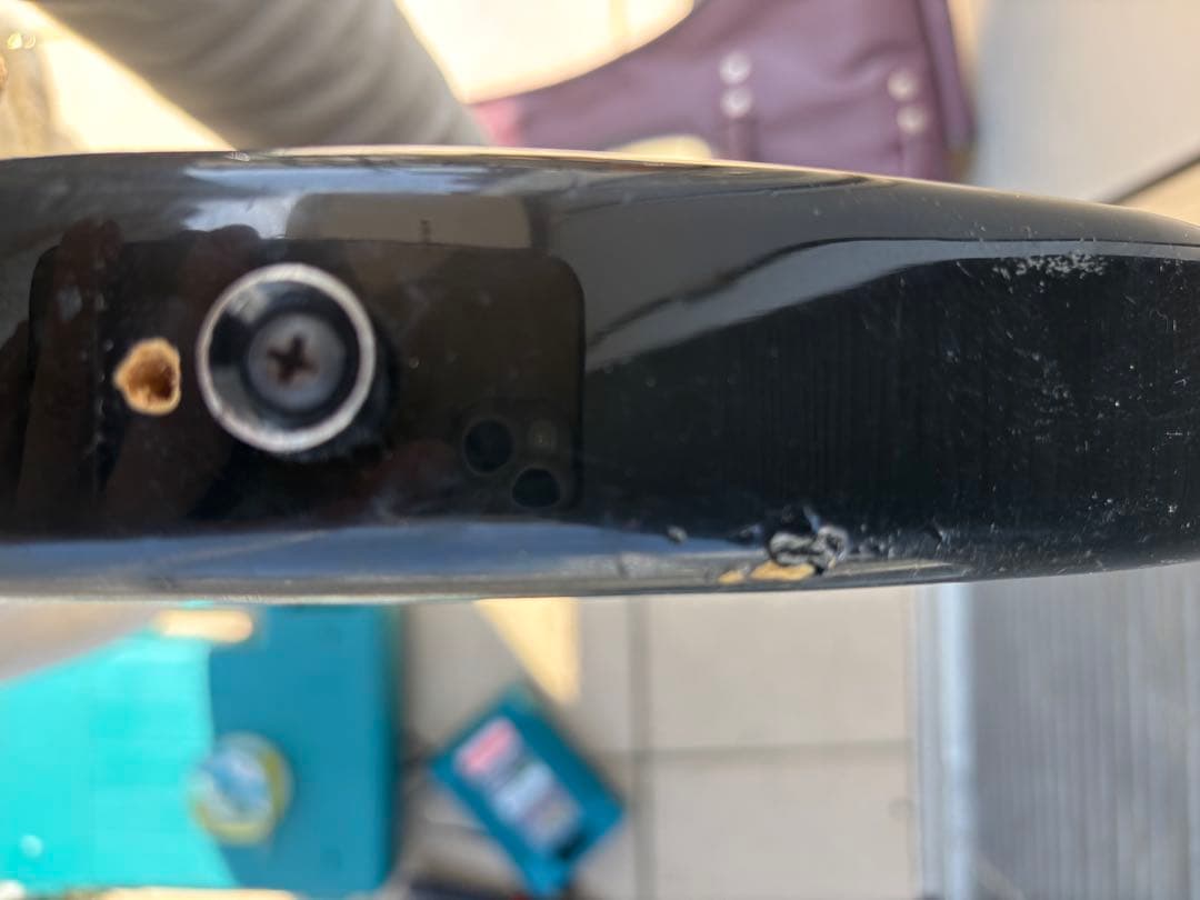 Black Dog by Aria pro Ⅱ