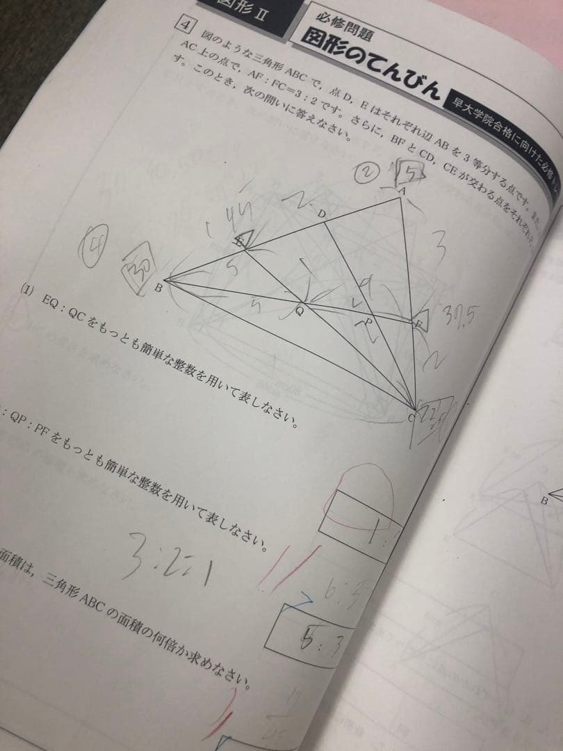 早稲田アカデミー　NN早大学院　日曜/夏期/正月/直前/副教材　2025年受験