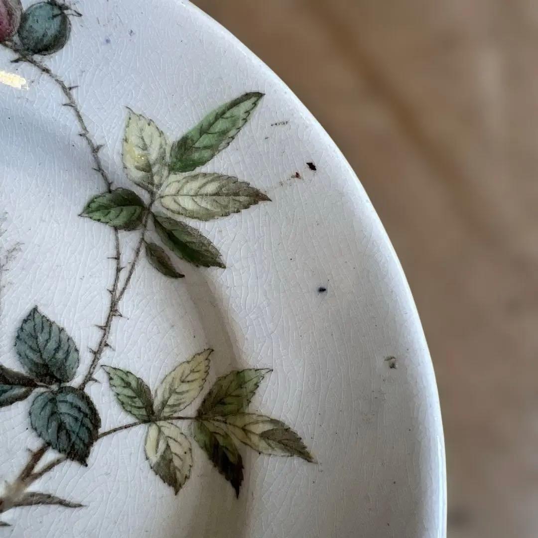 希少アンティーク　ジョン・モードロック・ロビン・プレート1800年代後半