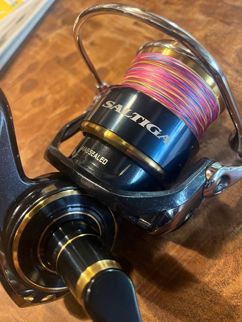 DAIWA SALTIGA ダイワ20ソルティガ8000 H