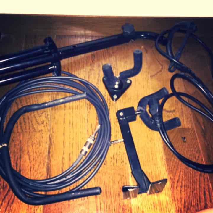 フェルナンデスモッキンバード