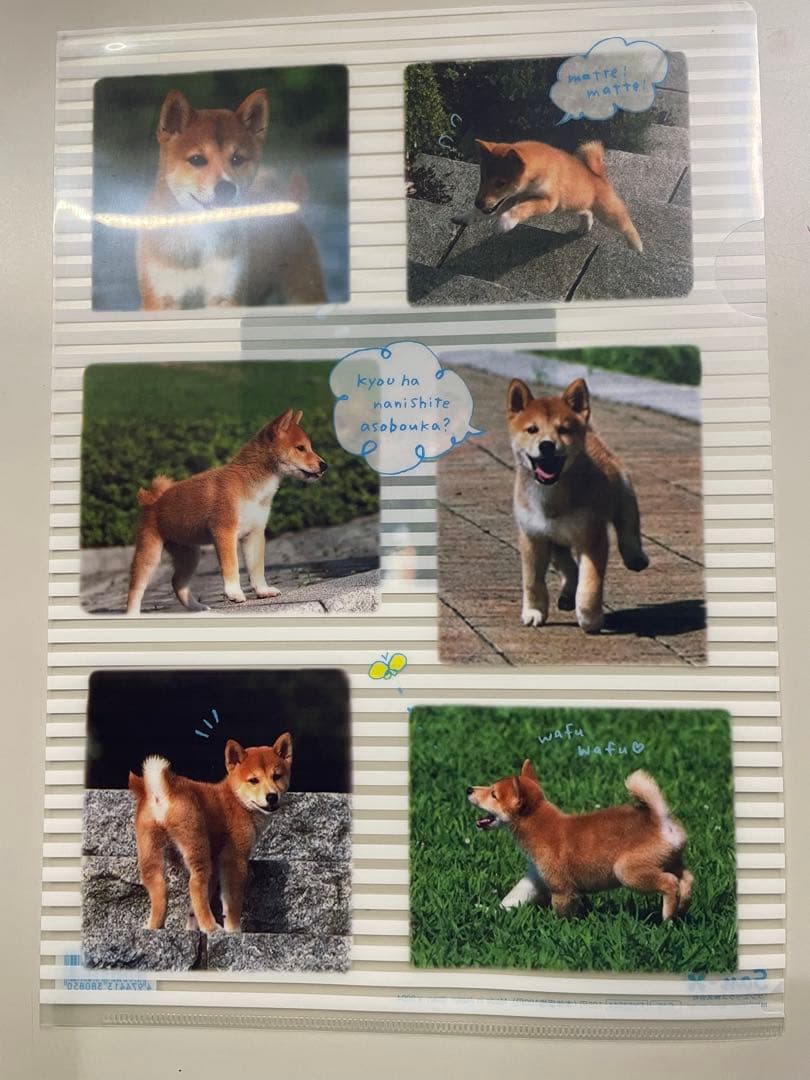 平成レトロ　サンエックス　クリアファイル　犬　8枚セット