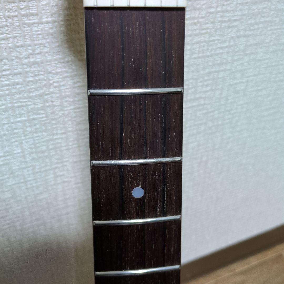 TLエレキギターCCピックアップ