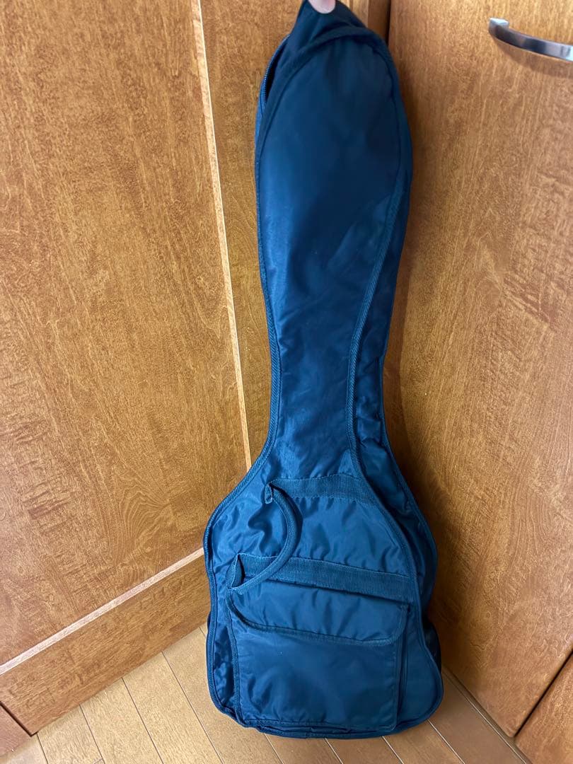 美品 Epiphone Les Paul Standard ソフトケース付き