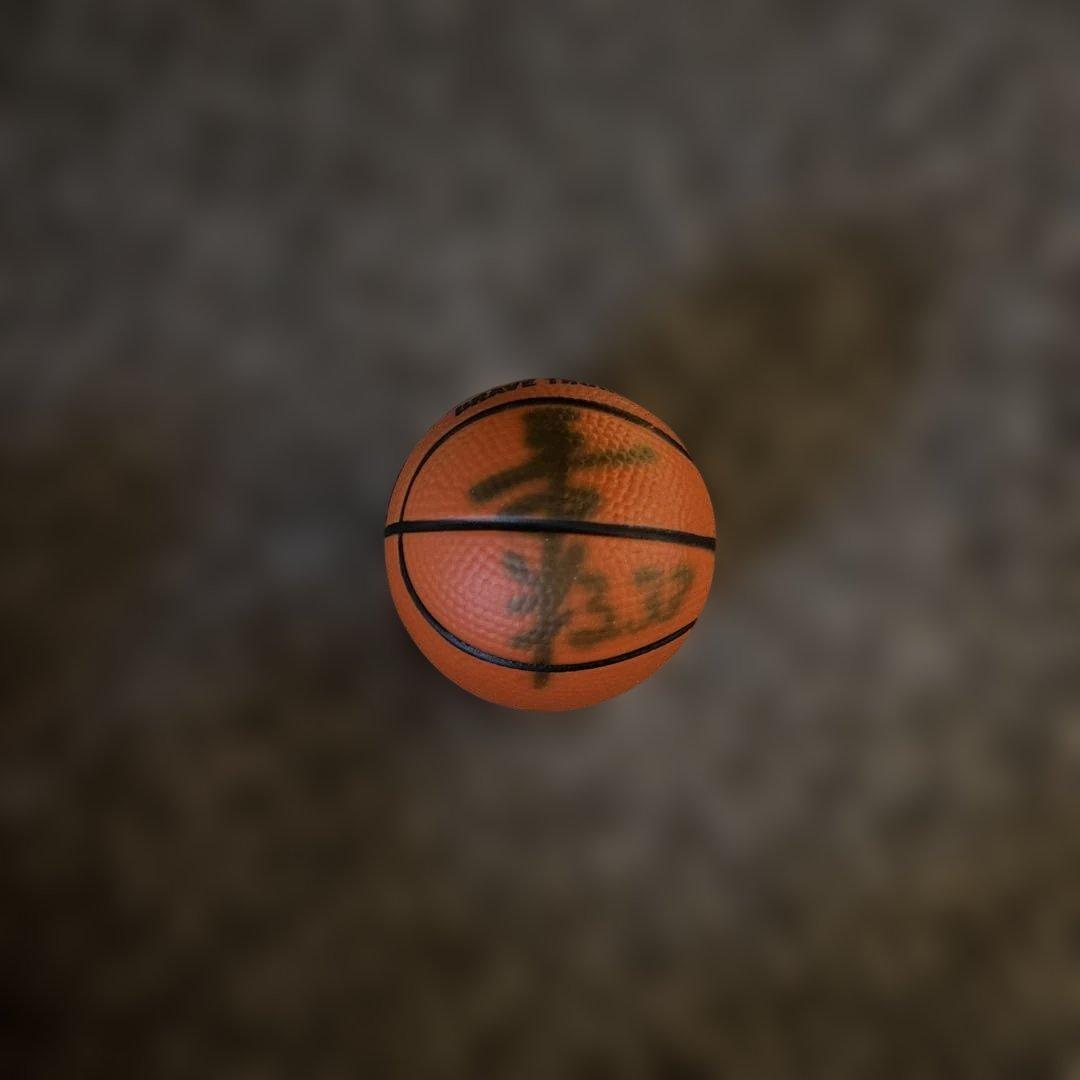 川崎ブレイブサンダーサイン入りミニバスケットボール5個セット