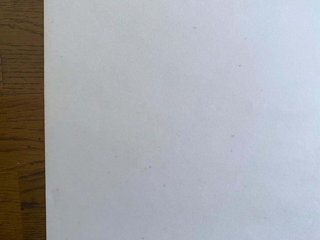 レ*オ様 横尾忠則　ポスター「AMAZON、アマゾン」 1989年