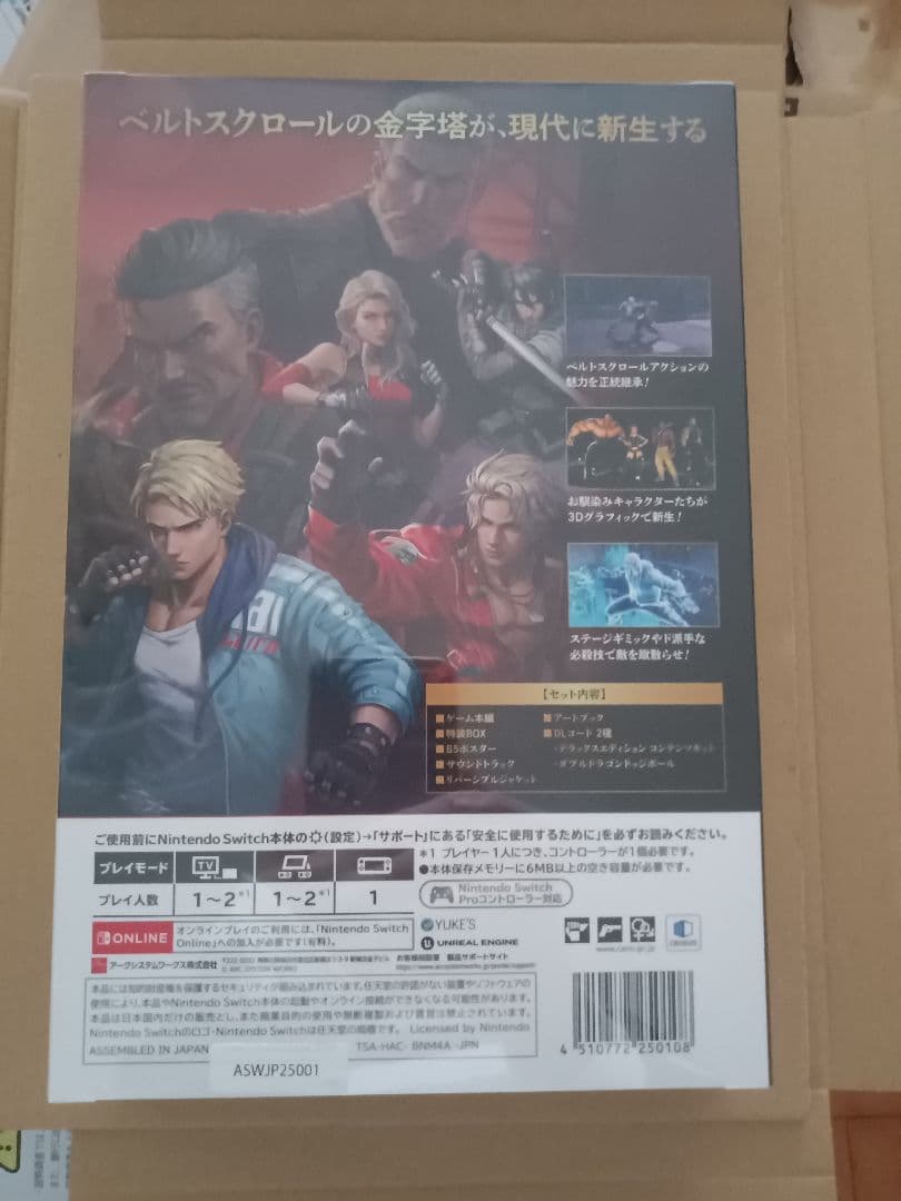 Nintendo Switch Double Dragon Revive Collector's Edition
