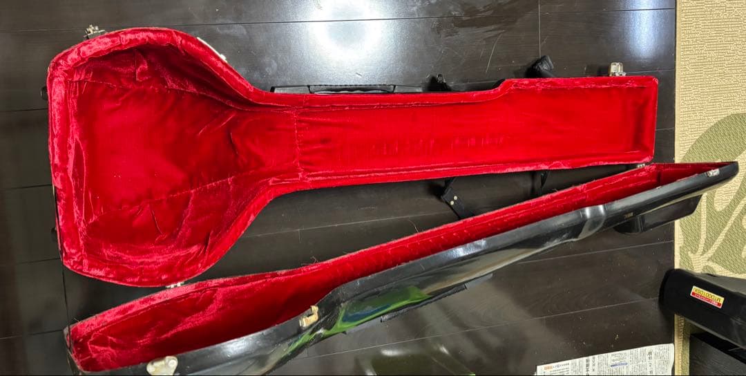 シタール ハードケース付き