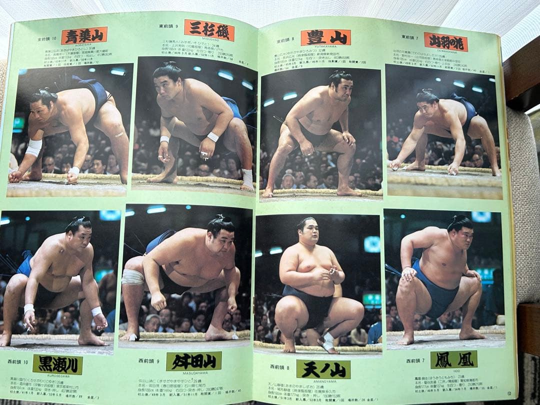大相撲 九月場所 パンフレット 冊子 1980年 昭和55年