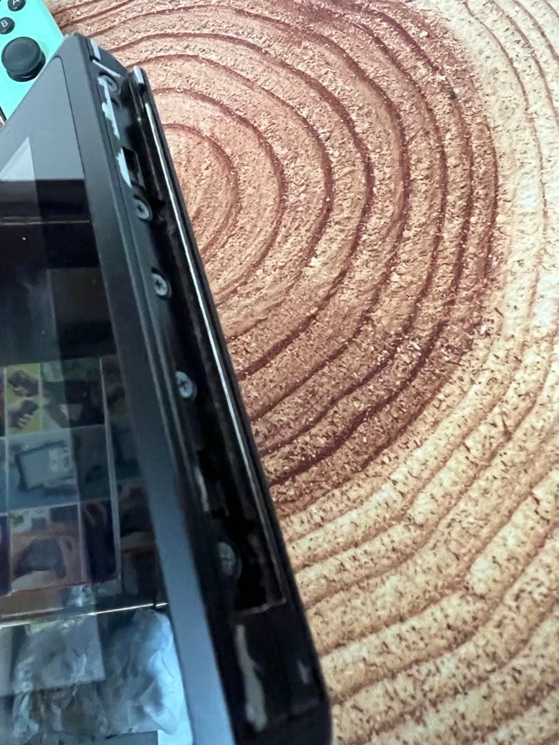 Nintendo Switch ニンテンドースイッチ本体PPL/GRN 箱無し