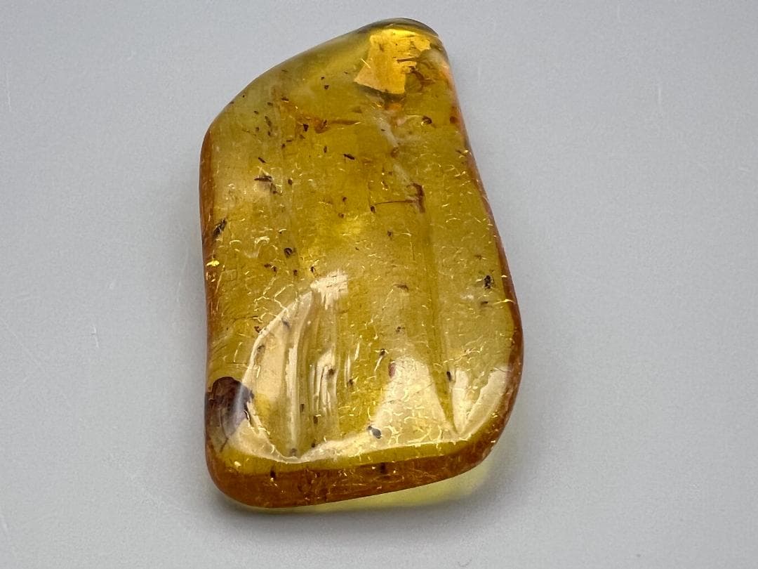 虫入り琥珀　蜘蛛　蚊　大量小さい虫内包　バルティックアンバー　バルト海沿岸地域産