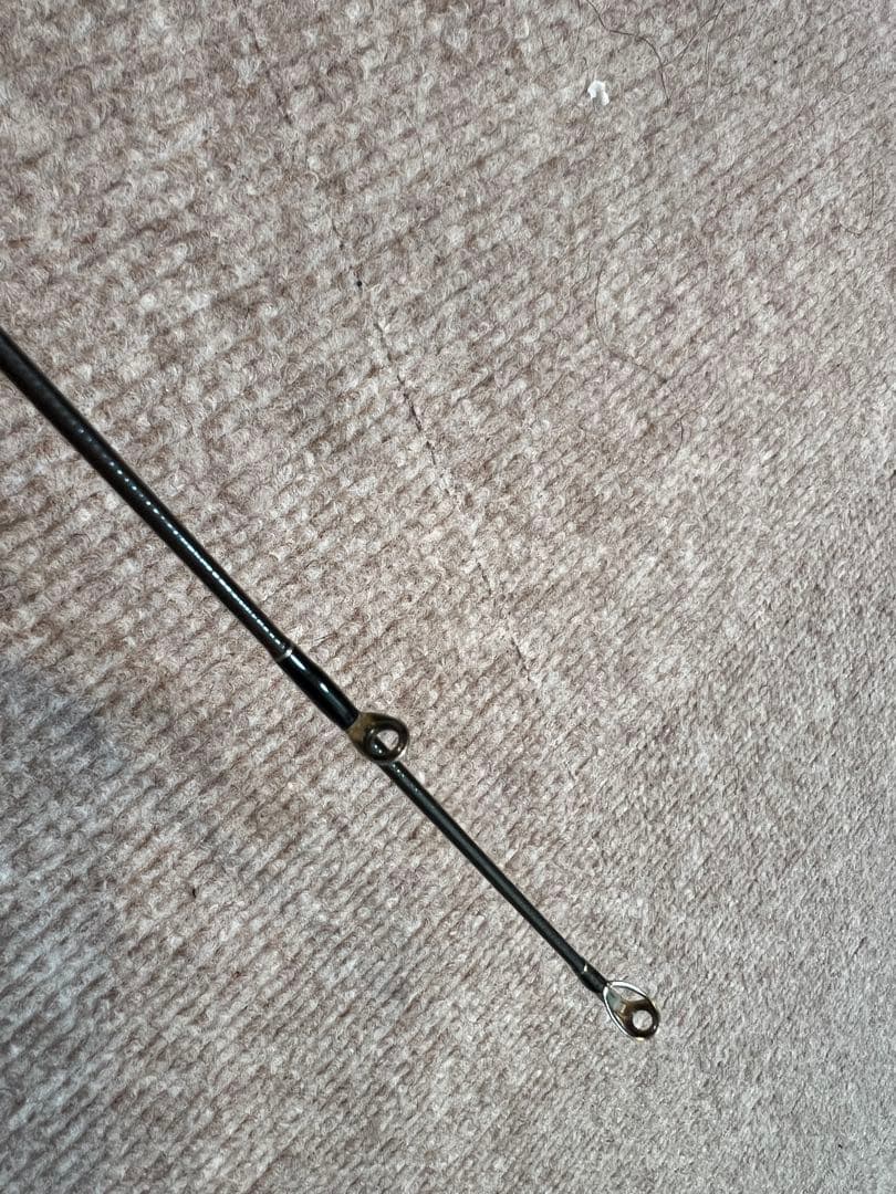 ダイワ　19ブラックレーベル　BLX LG 661ML+RB