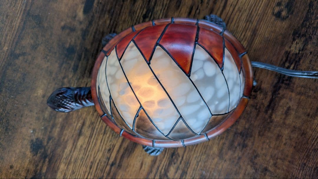 グレイトフルデッド　タートルライト