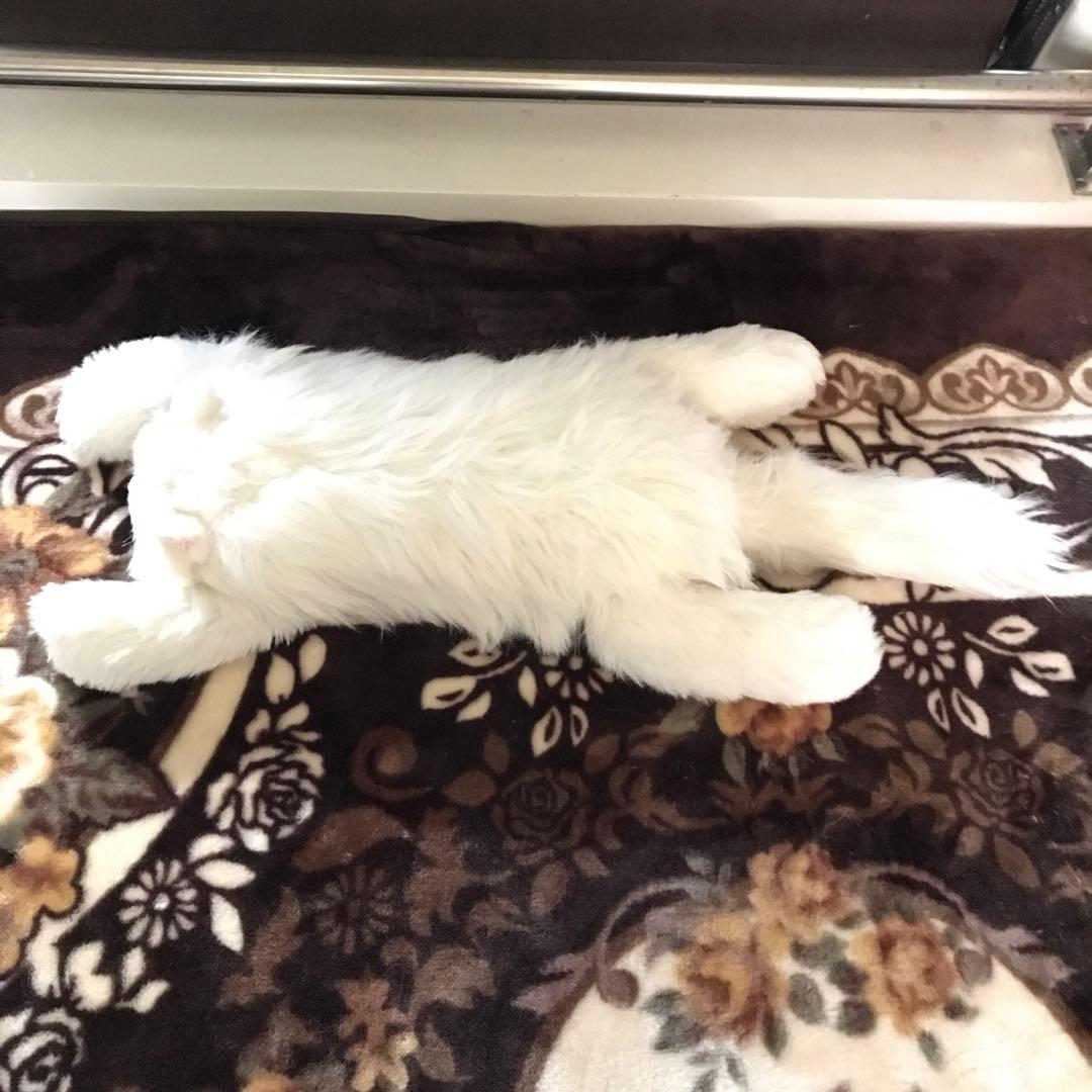 ぬいぐるみ　猫　ねこ　ペルシャ猫　レトロ❣️