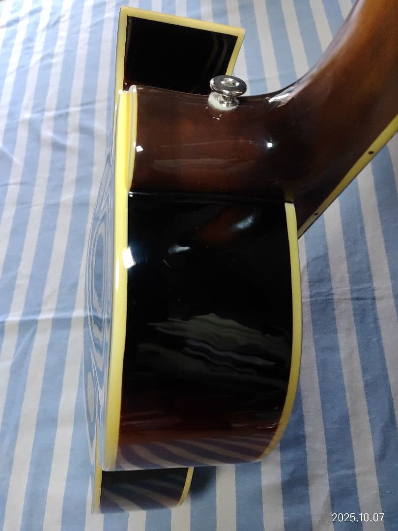 The Loarのハードケース付き1ハムフルアコLH-650vs使用感少な目美品