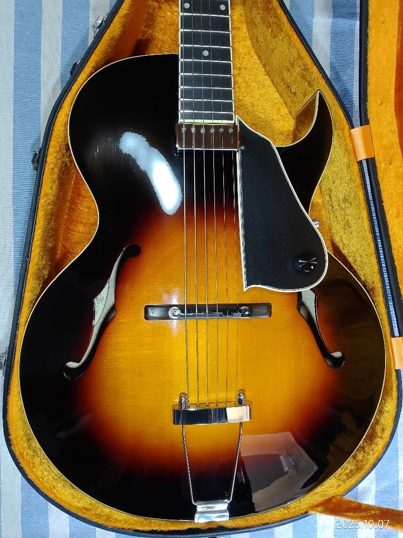 The Loarのハードケース付き1ハムフルアコLH-650vs使用感少な目美品