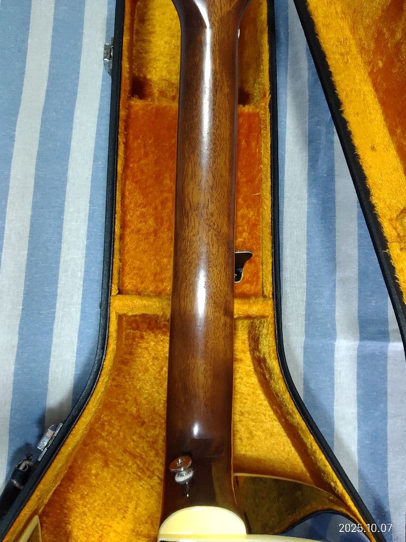 The Loarのハードケース付き1ハムフルアコLH-650vs使用感少な目美品