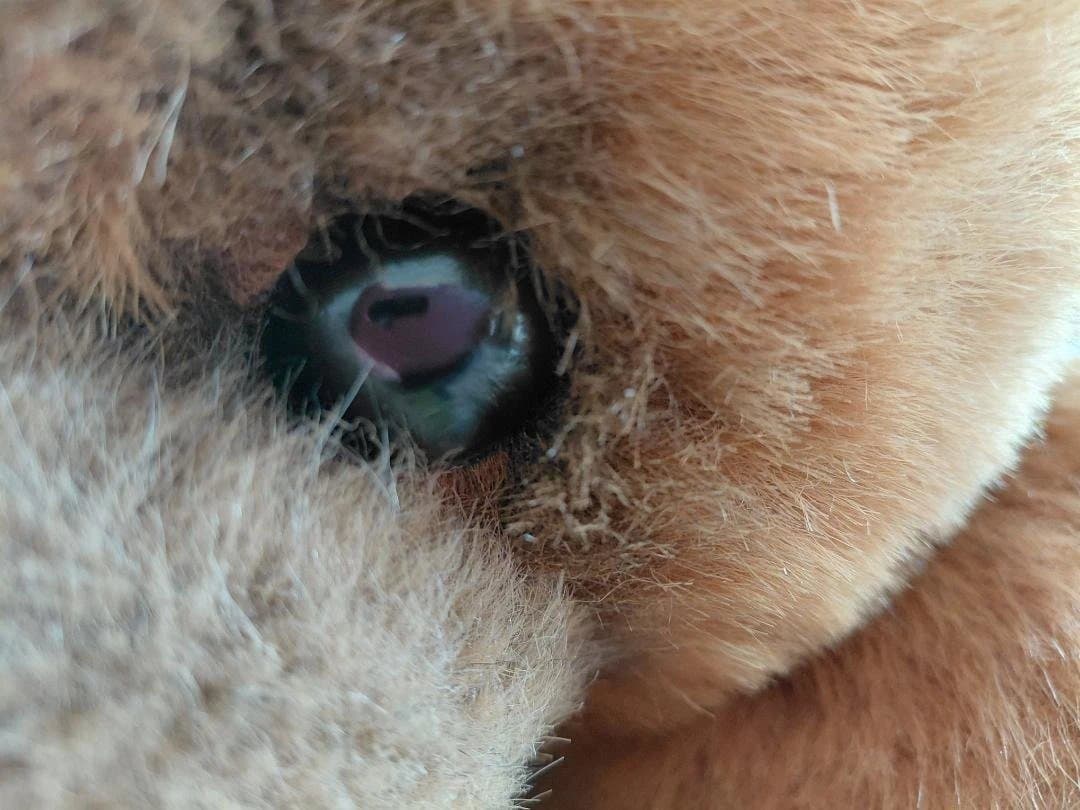 【三英】昭和 レトロ 特大 チャウチャウ ぬいぐるみ茶色の犬