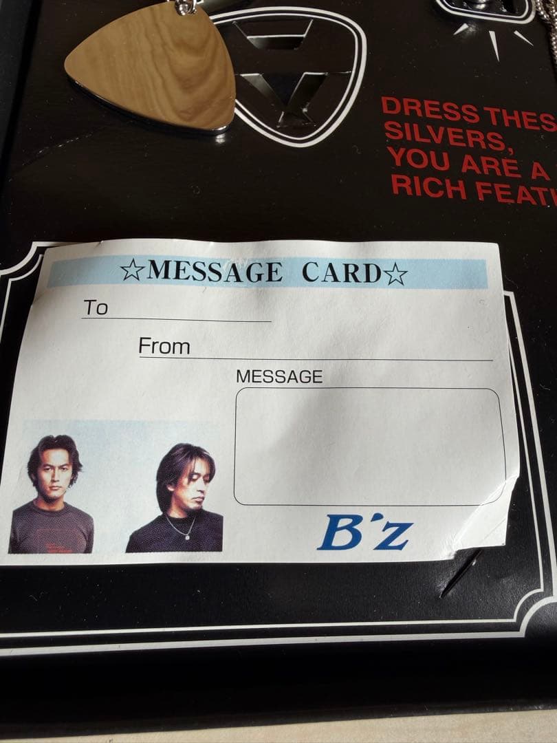 B'z シルバーコレクション ネックレスセット 完全限定版