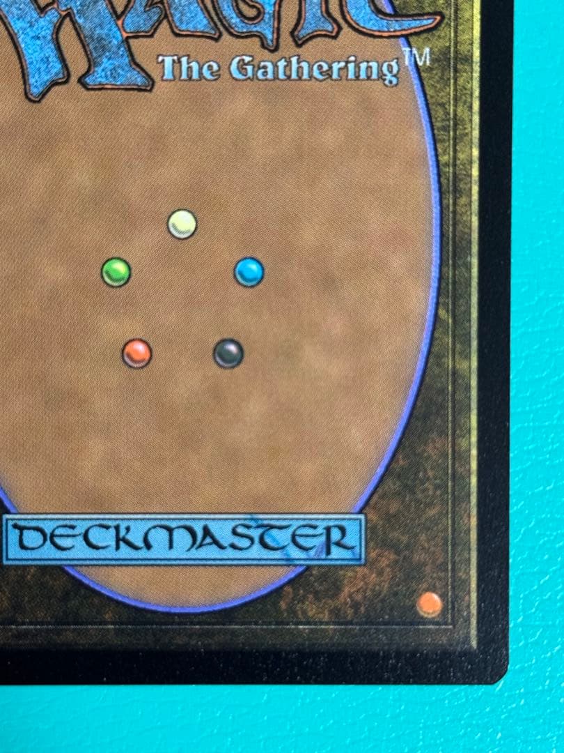 MTG　日本語版　シヴァ/緻密　ボーダーレス　Foil