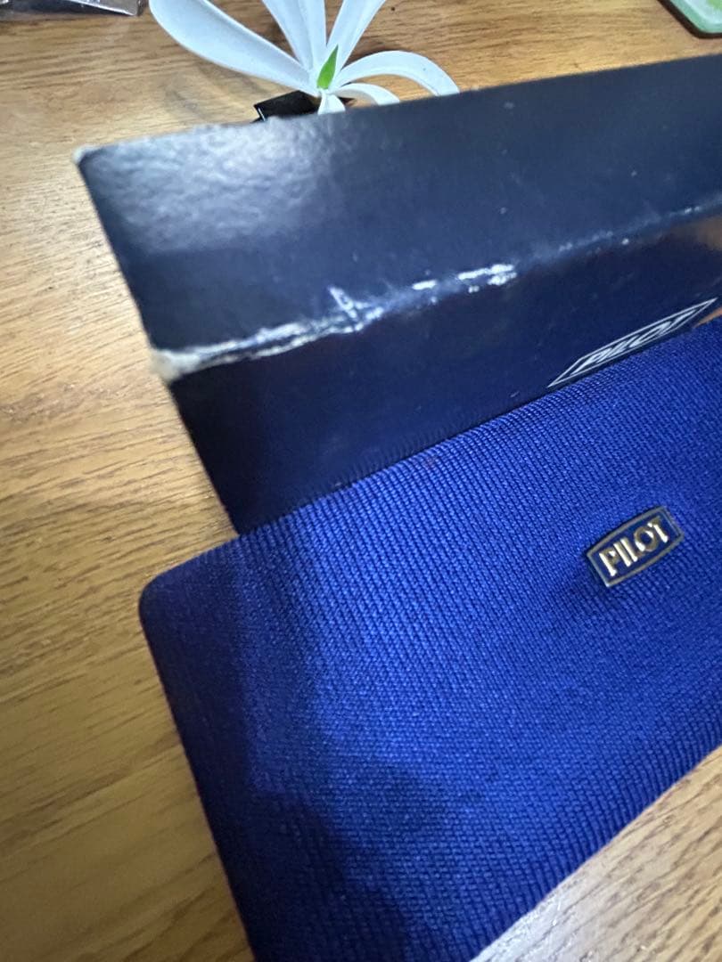 PILOT 万年筆 黒 金ペン先&ボールペン