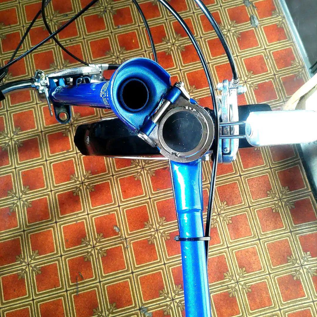 やりろーるダホン 折り畳み オールドダホンⅢ 7速仕様 old dahon