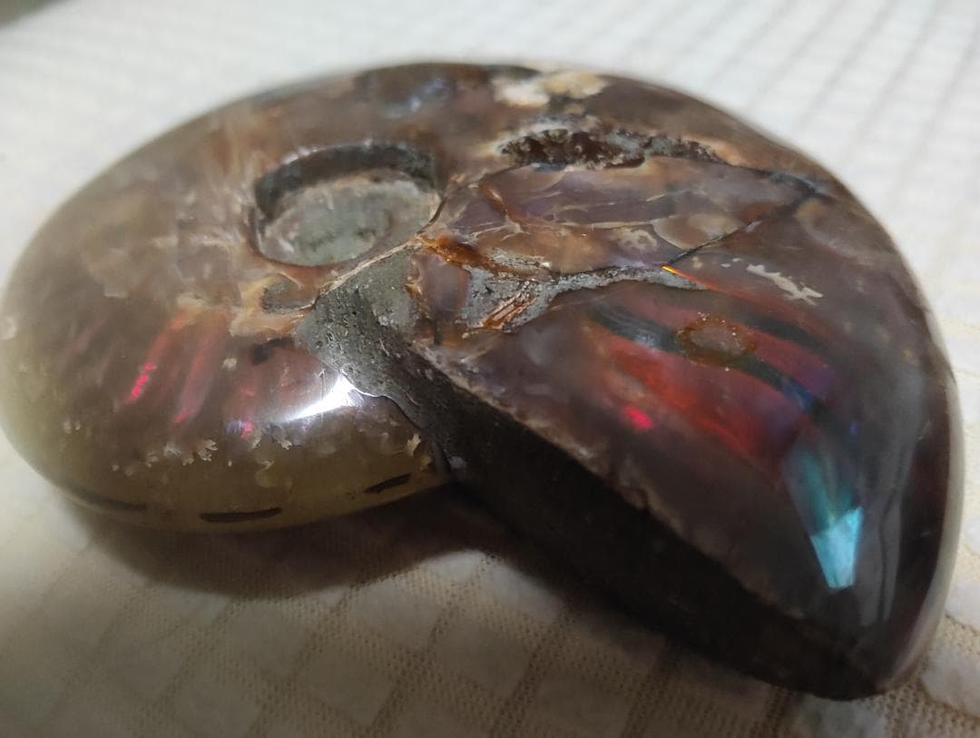 化石 アンモナイト オパール化 遊色 レインボー３点 9800an0814