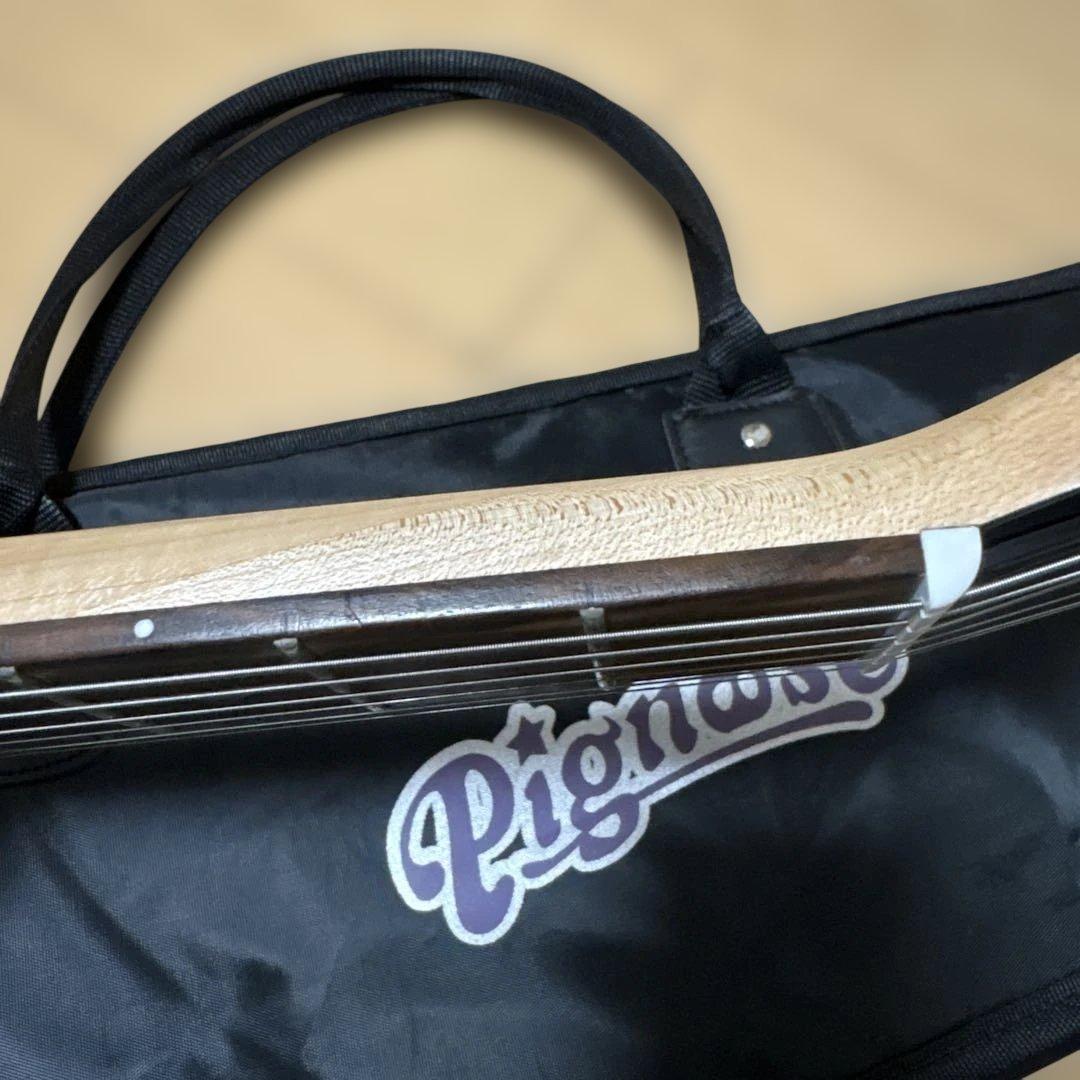 Pignose（ピグノーズ）PGG-200 アンプ内蔵ミニギター CAレッド