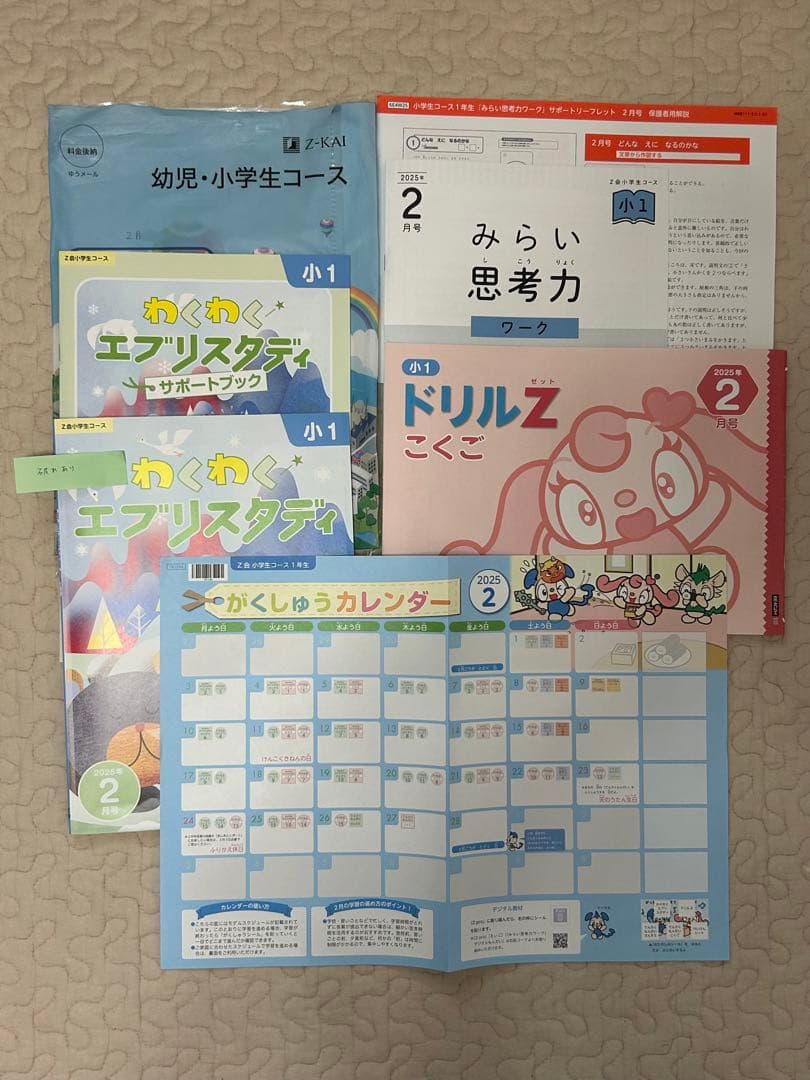 新品同様 最新　Z会 小学1年生 2024年度 1年分　みらい思考力あり