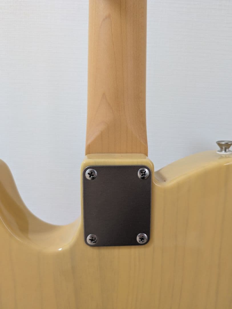 FUJIGEN　Neo Classic NTE10MAH　VNT　テレキャスター