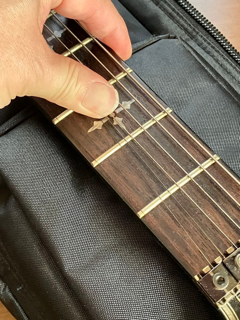 Schecter HELLRAISER 7弦 ギター AD-C-7-FR-HR