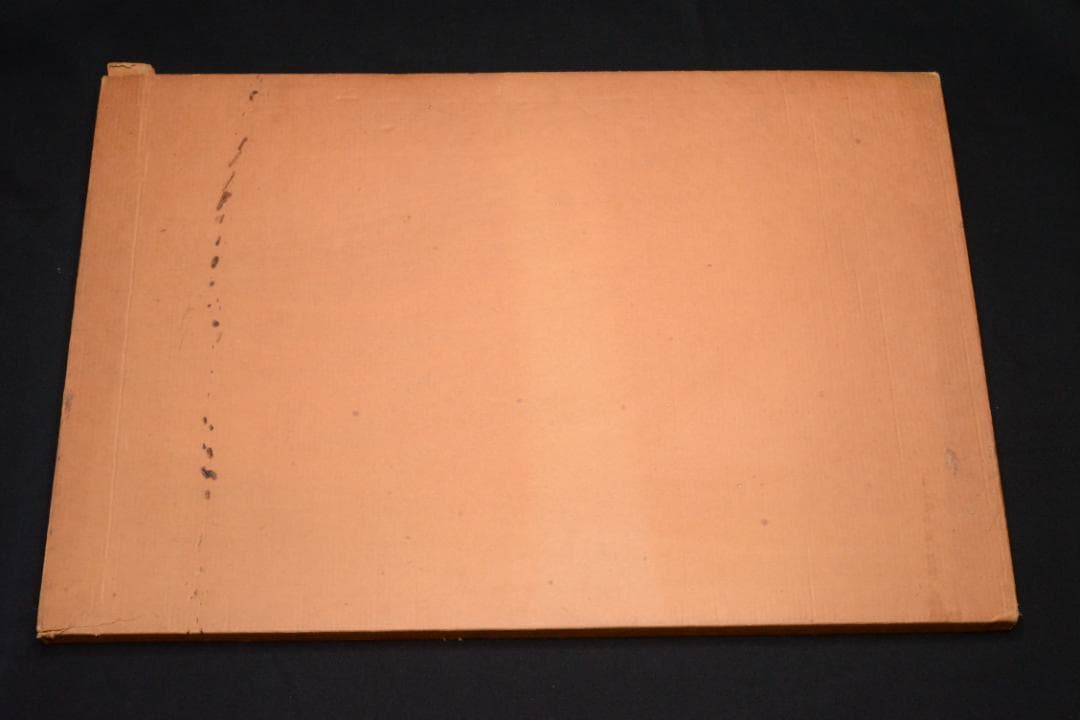 【HASKINS POSTERS】 Sam Haskins★大幅に値下げしました