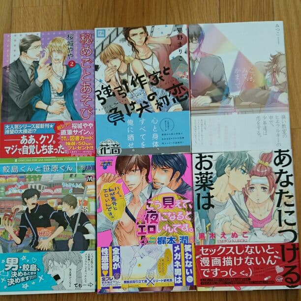 ＢＬコミックー２４冊