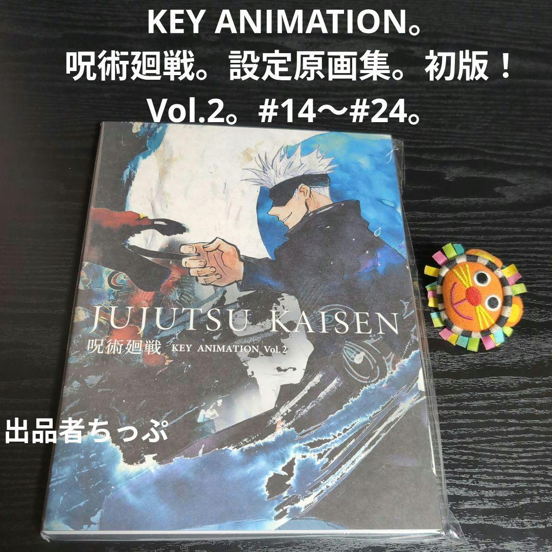 豪華セット！呪術廻戦30全巻。同梱版。原画集。0・5巻。ジャンプ！関連本。