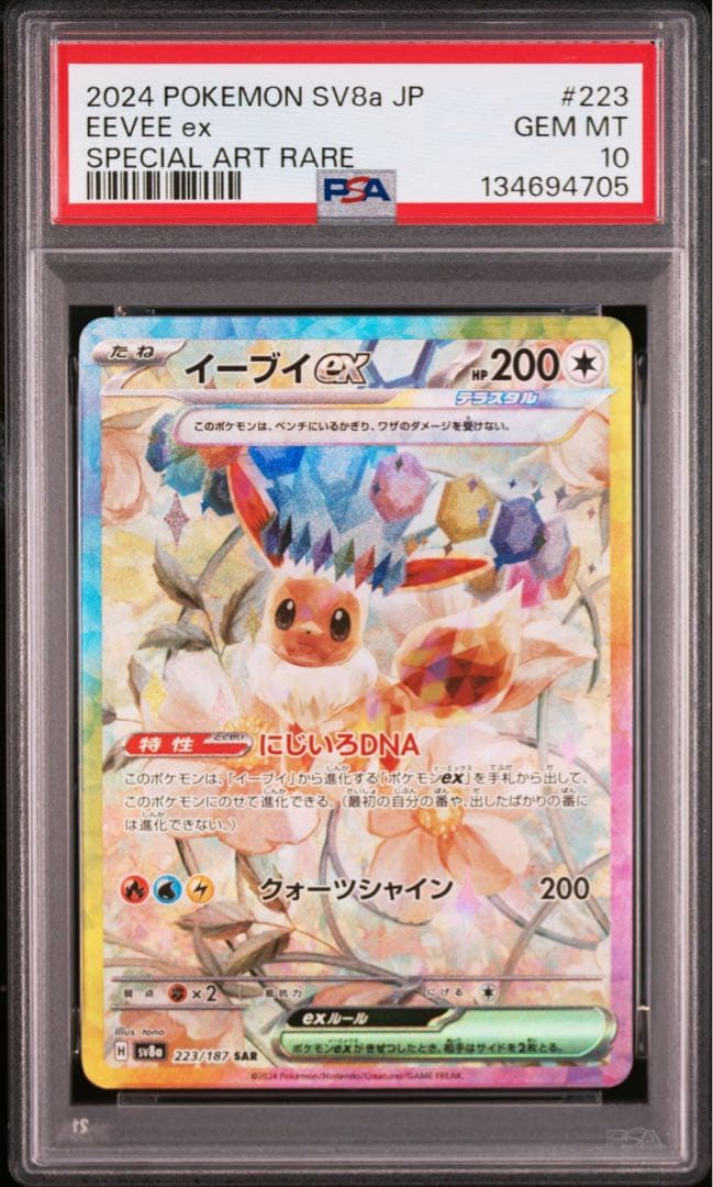 【PSA10 連番】ブイズ テラスタルフェスex SAR