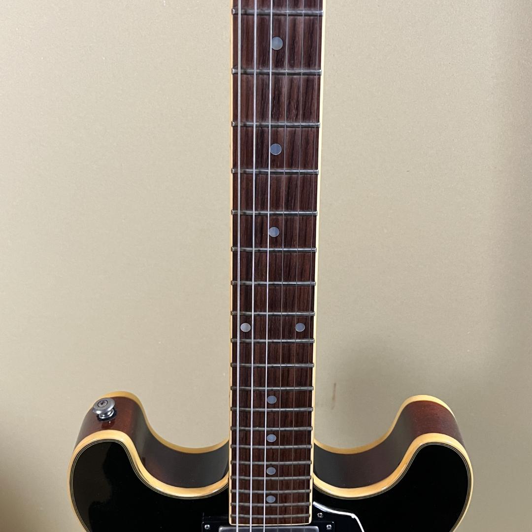 Aria Pro Ⅱ TA-01 セミアコ エレキギター サンバースト