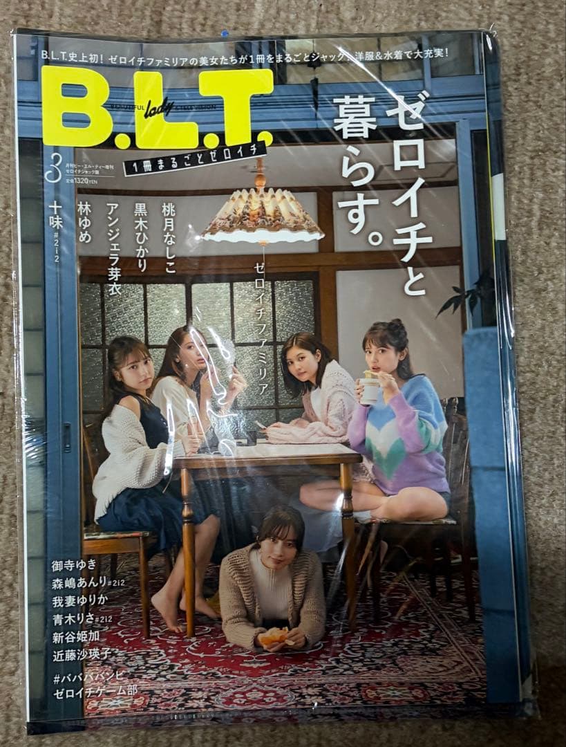 十味セット(おまけ付き) バラ売り不可・値下げは交渉次第！