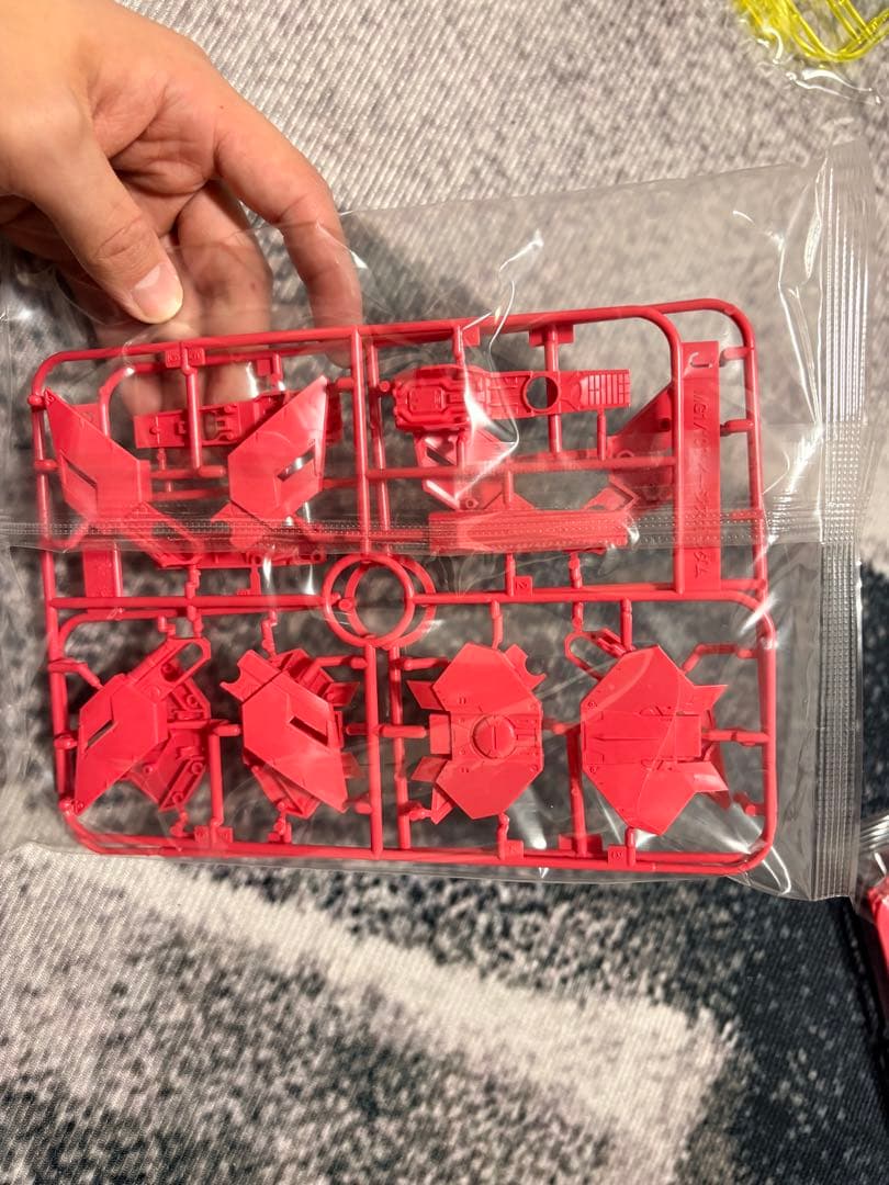 MG イージスガンダム　未組立