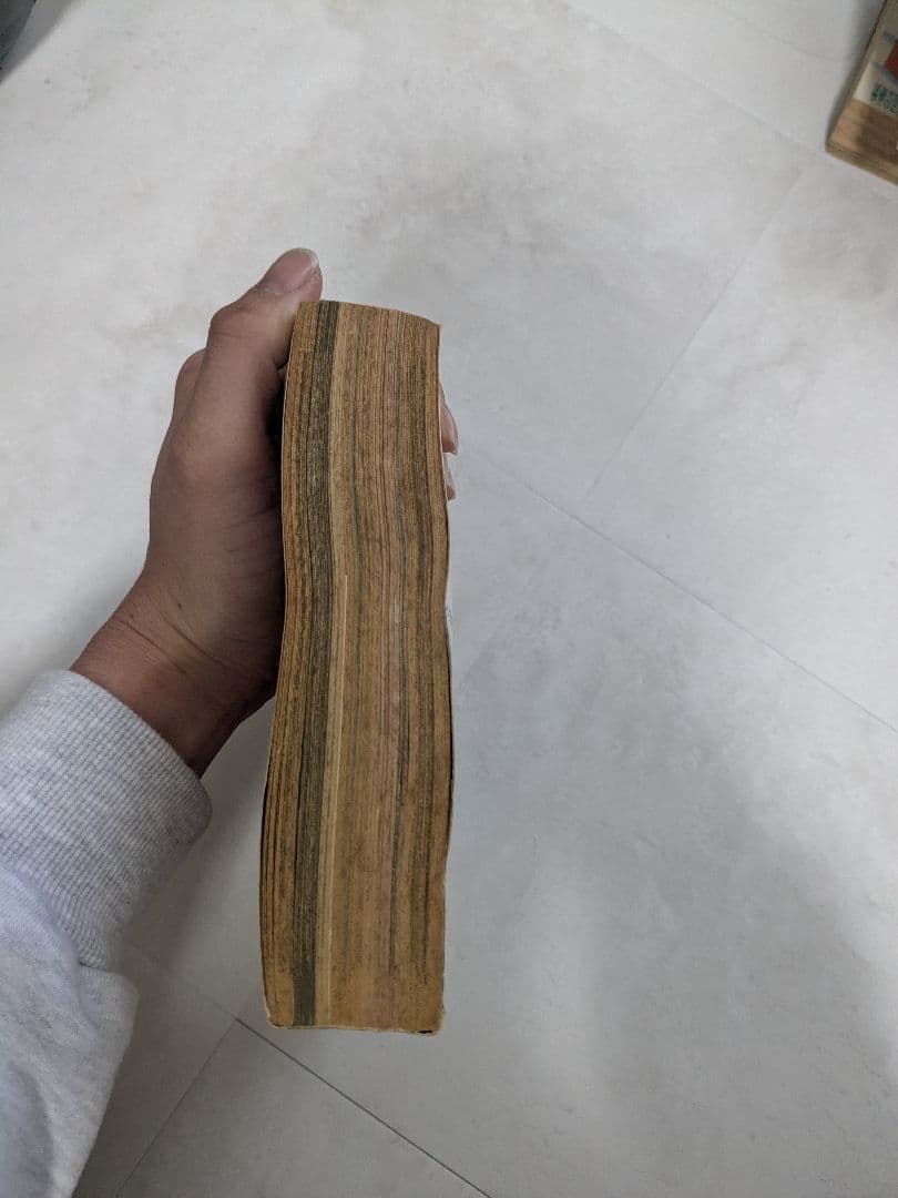 ANIMAL HOUSE 1990年11月号 ベルセルク掲載号