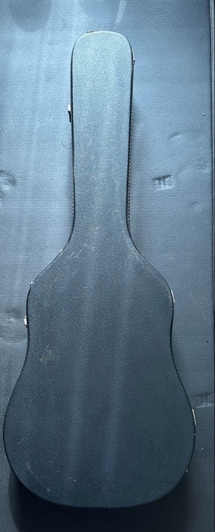 Takamine F340S タカミネ Lawsuit