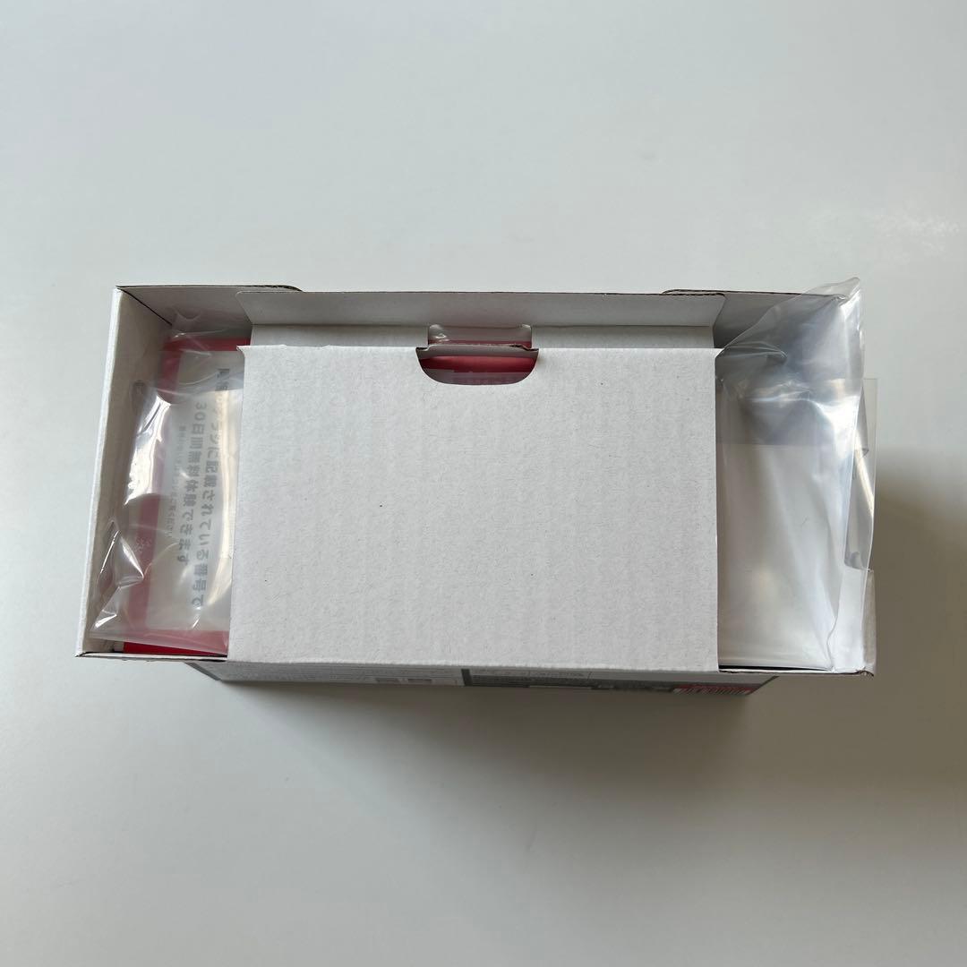 Nintendo Switch Lite グレー、スイッチライト　本体　ケース付